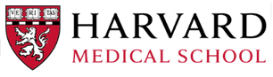 Allies logo